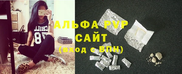 гидра Алексеевка