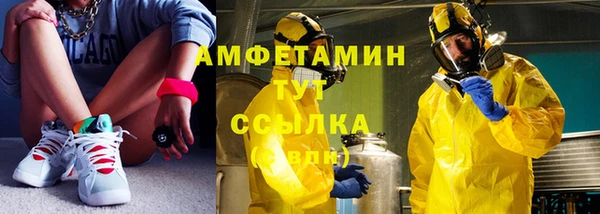 гидра Алексеевка