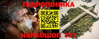 apvp Можга