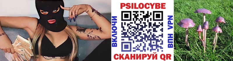 blacksprut ТОР  Темрюк  Галлюциногенные грибы MAGIC MUSHROOMS 