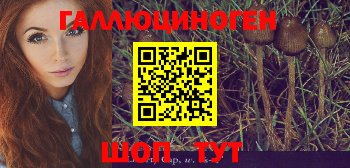 Псилоцибиновые грибы ЛСД  Вход с VPN  купить закладку  Темрюк 