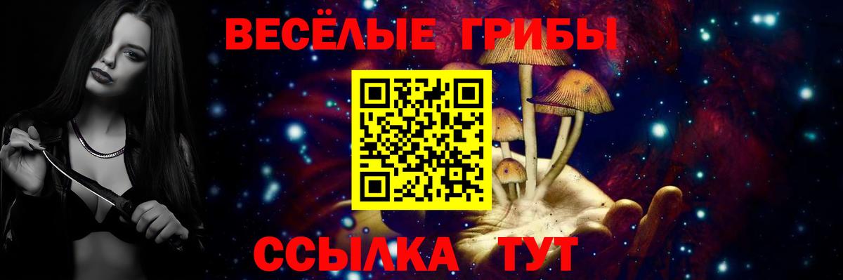 Псилоцибиновые грибы Cubensis Темрюк