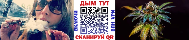 Конопля индика  Темрюк 
